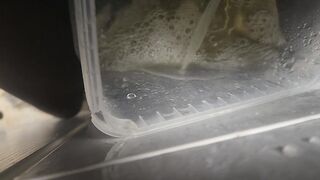 Pissing all over cheap kitchen cabinet door