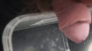 Pissing all over cheap kitchen cabinet door