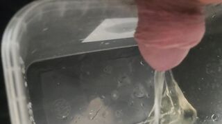 Pissing all over cheap kitchen cabinet door