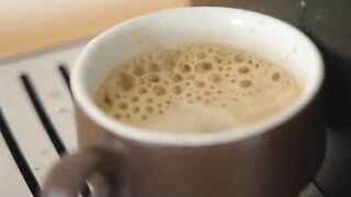 The Trainer’s Touch