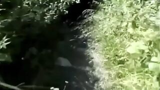 Vintage excited nymph is shaggy and willing to drink