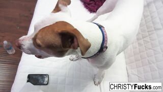 Nick Manning bangs tattooed pornstar Christy