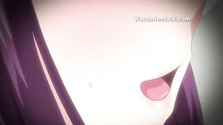 Manga Hnetai, Animated manga porn