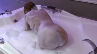 I love anal invasion and being filled with cum, my booty always needs a large jock