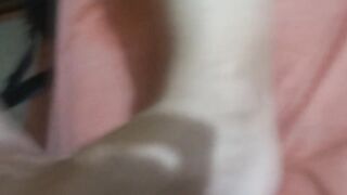 Stepson wishes to screw his stepmom, this guy jerks off whilst that guy watches her bushy vagina