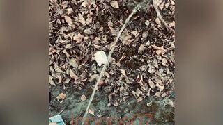 Real pee desperation, nearly peed in my underclothes