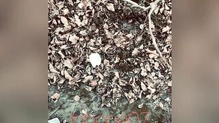 Real pee desperation, nearly peed in my underclothes