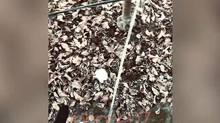 Real pee desperation, nearly peed in my underclothes