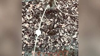 Real pee desperation, nearly peed in my underclothes