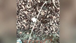 Real pee desperation, nearly peed in my underclothes