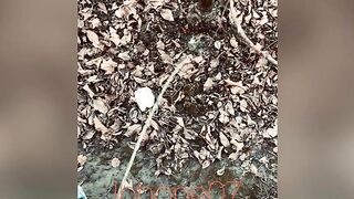 Real pee desperation, nearly peed in my underclothes