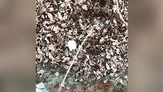 Real pee desperation, nearly peed in my underclothes