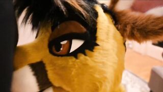 Fur Oral sex
