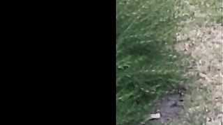 Trashy mother I'd like to fuck has to walk home overspread in piddle after night out. Comedy
