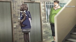 Hentai Comics, Animation porn