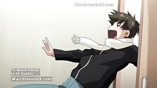 Animated Comics, Animation porn