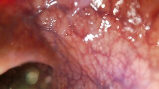 POV: Gulping u into the tip of my transverse