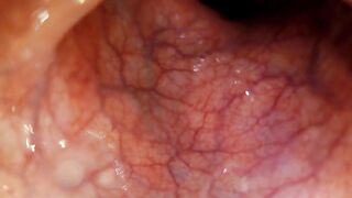 POV: Gulping u into the tip of my transverse