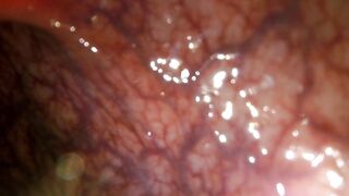 POV: Gulping u into the tip of my transverse