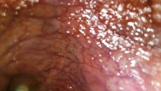 POV: Gulping u into the tip of my transverse