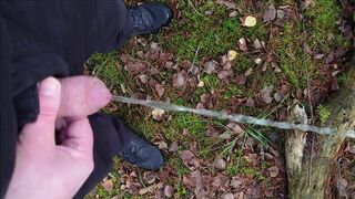 Pissing in the forest