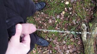 Pissing in the forest