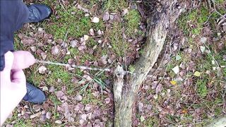 Pissing in the forest