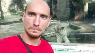 The Tigers of Saigon