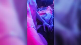 HAWT - SEXY BLOND WITH LARGE BREASTS, TAKING IT!!