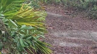 Caught this hubby wanking during the time that spying on me