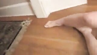 Clone wars kills Vs kos