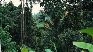 Tropical Hideaway - Hawt Sunbathing