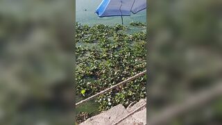 No pants underneath table on bar