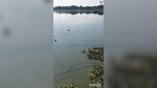 No pants underneath table on bar