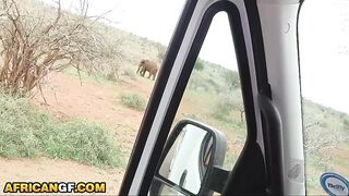 Hot Natural Black Babe Gets Drilled Coarse In The Backseat After Begging For White Dong