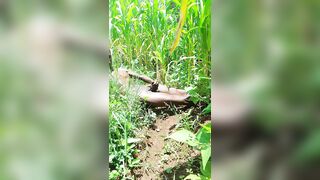 Trying to be slutty out of a woman is hard ...PART 1 with model ALA-RO 254