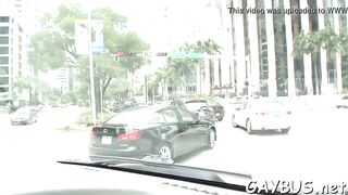 Lusty transaction with young homo