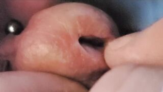 Marvelous Frenum Jock " consummate"