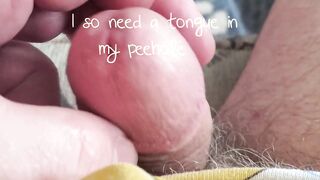 Charming Frenum Dong "tongue in peehole please"