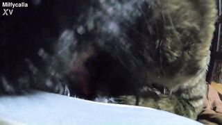 Yiff Surprise POV – Deepthroat, Leather Gloves, Spit and Cum Licking
