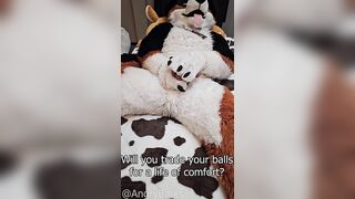 play with @AngryBarks Dogs have to be !