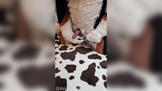 play with @AngryBarks Dogs have to be !