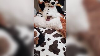 play with @AngryBarks Dogs have to be !