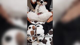 play with @AngryBarks Dogs have to be !