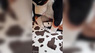 play with @AngryBarks Dogs have to be !