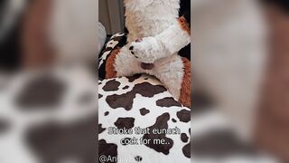 play with @AngryBarks Dogs have to be !