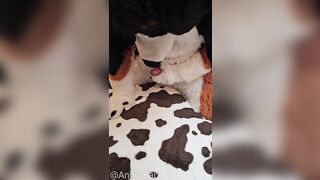 play with @AngryBarks Dogs have to be !