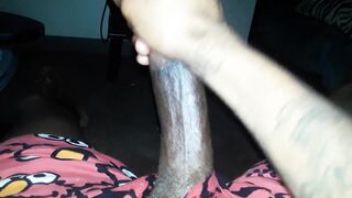 Stroked my penis for the lady's (Cum Discharged)