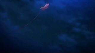 Reguetton HMV mother I'd like to fuck