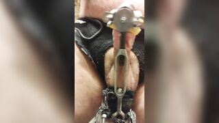 Shlong n balls that are stretched regularly stretch cunts and assholes regularly